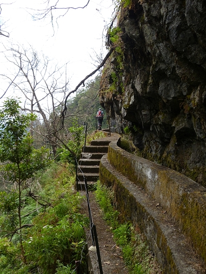 08.08.2012 Faja da Nogueira — Levada da Serra do Faial — Foto 16