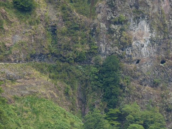 08.08.2012 Faja da Nogueira — Levada da Serra do Faial — Foto 17