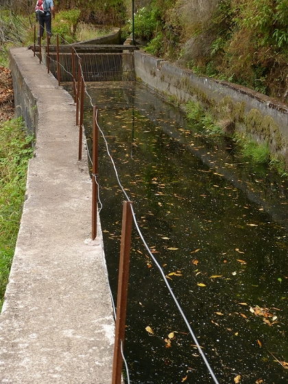 08.08.2012 Faja da Nogueira — Levada da Serra do Faial — Foto 18