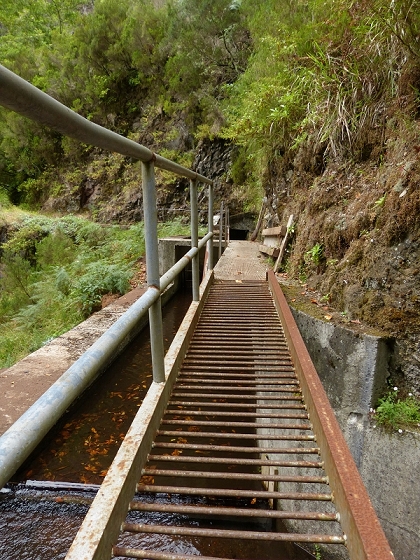 08.08.2012 Faja da Nogueira — Levada da Serra do Faial — Foto 20