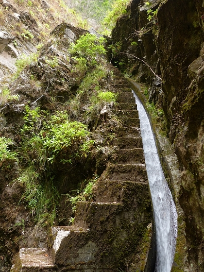 08.08.2012 Faja da Nogueira — Levada Nova do Juncal — Foto 2