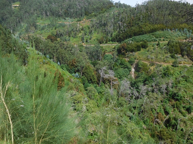 8 August 2015 Afternoon at Central da Calheta — To the Calheta I power station — photo 10