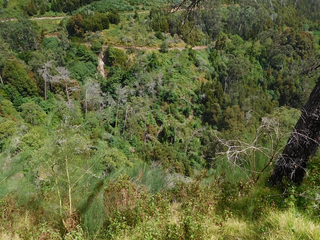 8 August 2015 Afternoon at Central da Calheta — To the Calheta I power station — photo 11