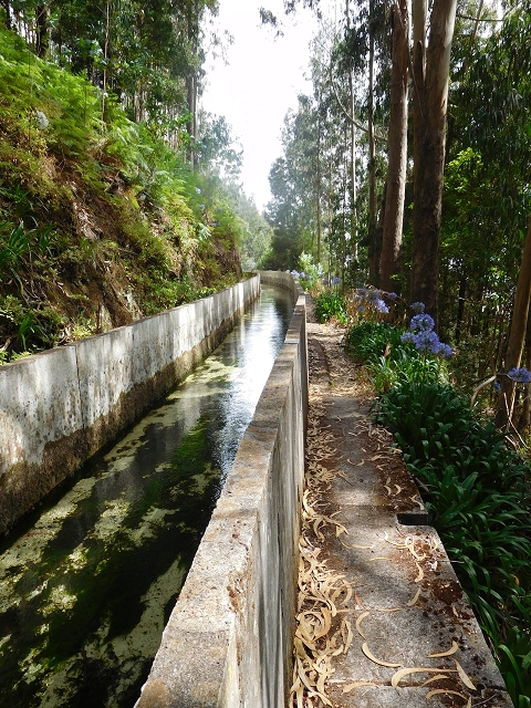 8 August 2015 Afternoon at Central da Calheta — To the Calheta I power station — photo 15