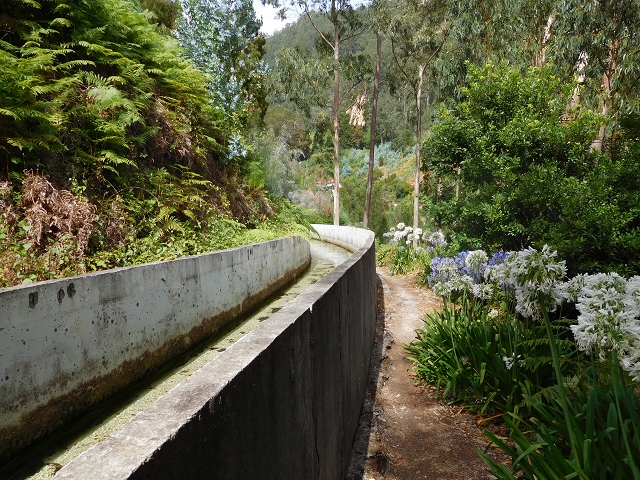 8 August 2015 Afternoon at Central da Calheta — To the Calheta I power station — photo 16