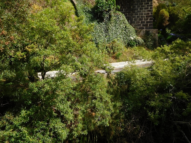 8 August 2015 Afternoon at Central da Calheta — The Calheta I power station — photo 3