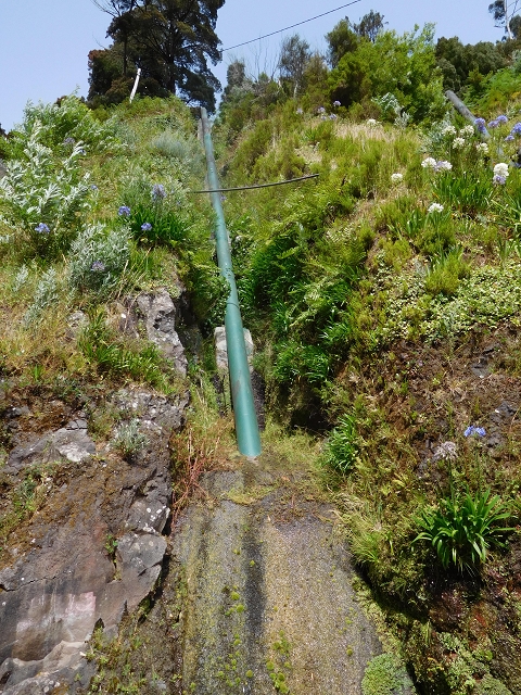 8 August 2015 Afternoon at Central da Calheta — The Calheta I power station — photo 11