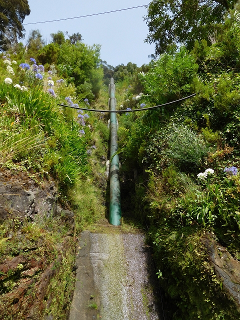 8 August 2015 Afternoon at Central da Calheta — The Calheta I power station — photo 12