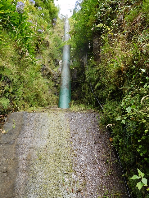 8 August 2015 Afternoon at Central da Calheta — The Calheta I power station — photo 20