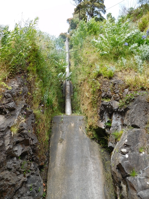 8 August 2015 Afternoon at Central da Calheta — The Calheta I power station — photo 22