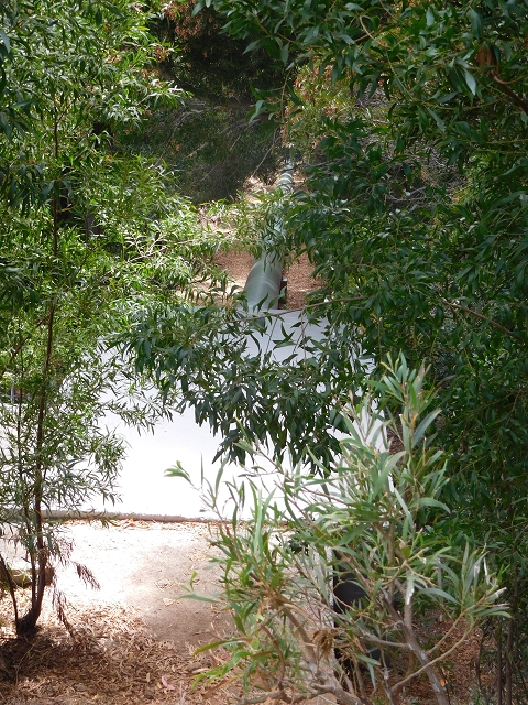 8 August 2015 Afternoon at Central da Calheta — Storage reservoir of the Levada Nova — photo 6