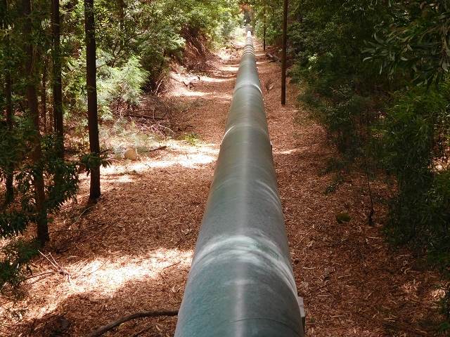 8 August 2015 Afternoon at Central da Calheta — Storage reservoir of the Levada Nova — photo 7