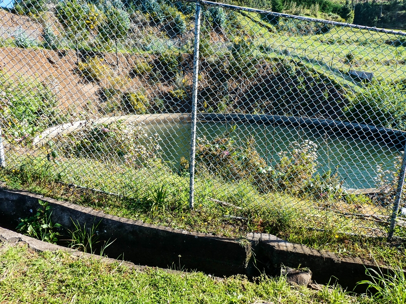 9 May 2019 Walk along the varied Levada Velha das Canhas — On the final stretch of the Levada Velha das Canhas and on the Nova to the road junction — photo 1