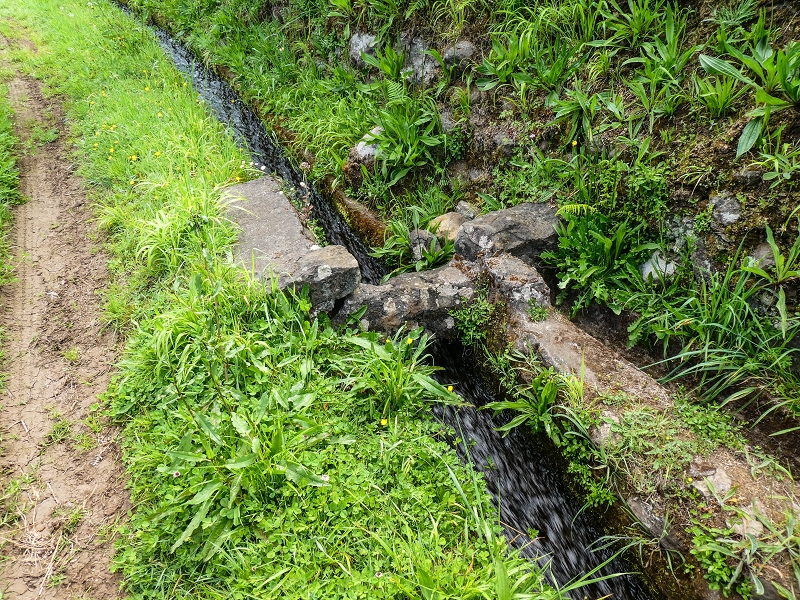 9 May 2019 Walk along the varied Levada Velha das Canhas — Through the wood and over meadows to the first stream crossing — photo 11