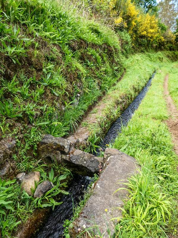 9 May 2019 Walk along the varied Levada Velha das Canhas — Through the wood and over meadows to the first stream crossing — photo 12