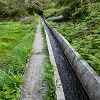 9 May 2019 Walk along the varied Levada Velha das Canhas — Through the wood and over meadows to the first stream crossing — photo 16