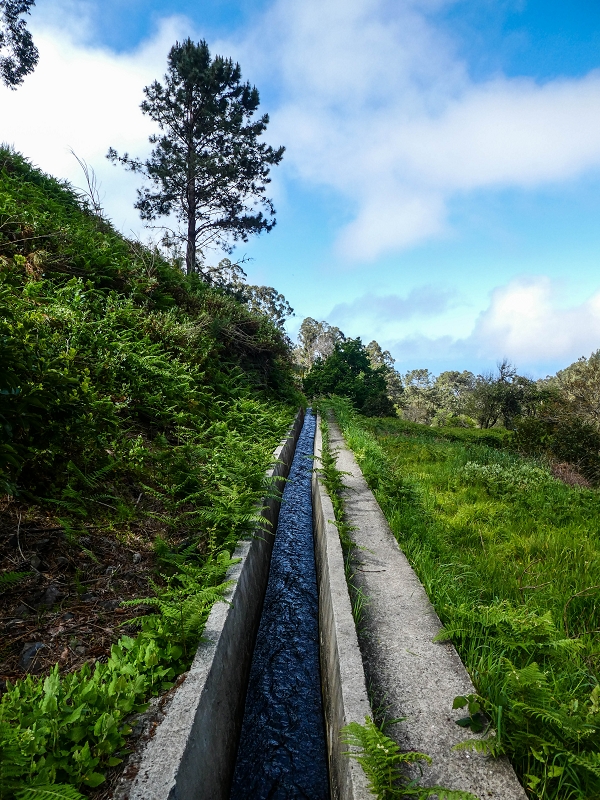9 May 2019 Walk along the varied Levada Velha das Canhas — Through the wood and over meadows to the first stream crossing — photo 17