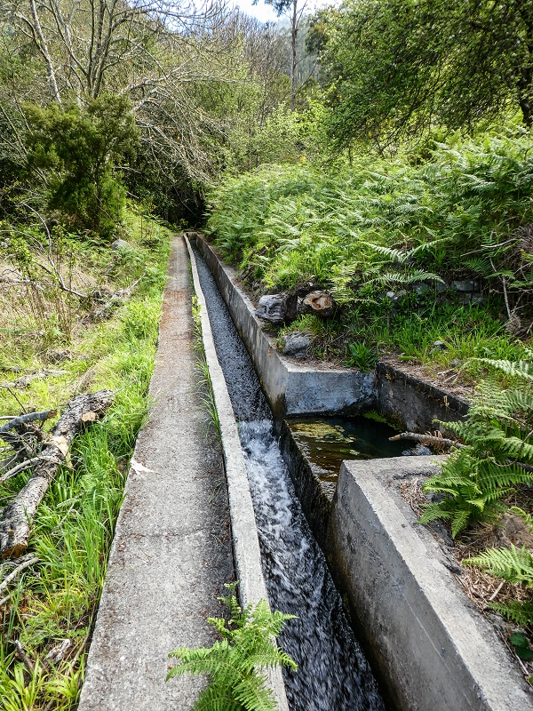 9 May 2019 Walk along the varied Levada Velha das Canhas — Through the wood and over meadows to the first stream crossing — photo 18
