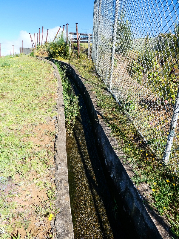 9 May 2019 Walk along the varied Levada Velha das Canhas — On the final stretch of the Levada Velha das Canhas and on the Nova to the road junction — photo 2