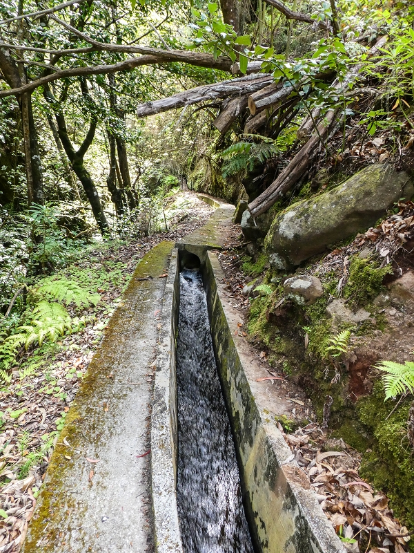 9 May 2019 Walk along the varied Levada Velha das Canhas — Crossing of the Ribeira do Covo Grande — photo 1