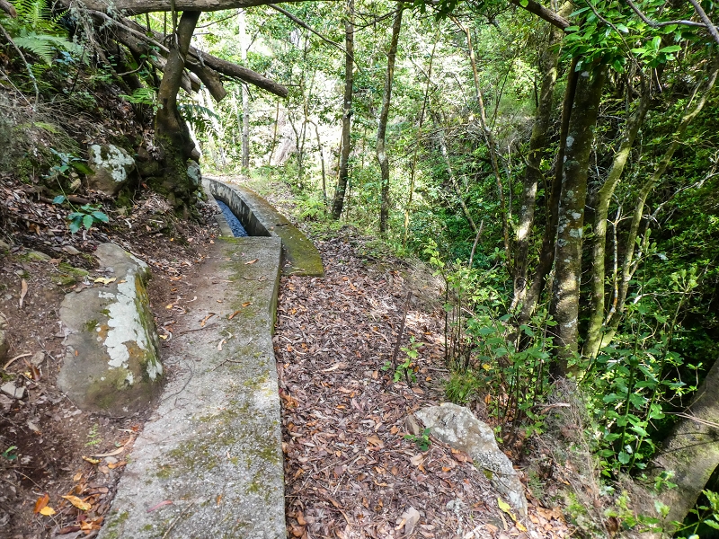 9 May 2019 Walk along the varied Levada Velha das Canhas — Crossing of the Ribeira do Covo Grande — photo 2