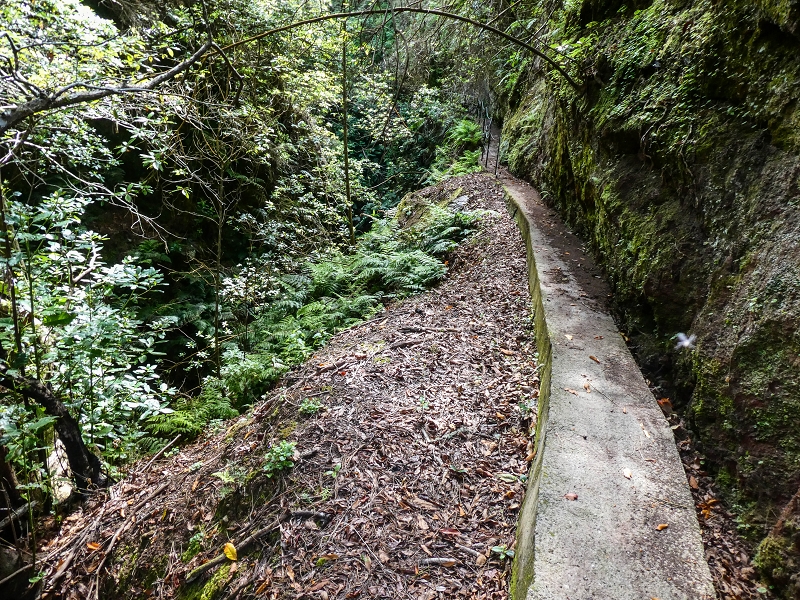9 May 2019 Walk along the varied Levada Velha das Canhas — Crossing of the Ribeira do Covo Grande — photo 3