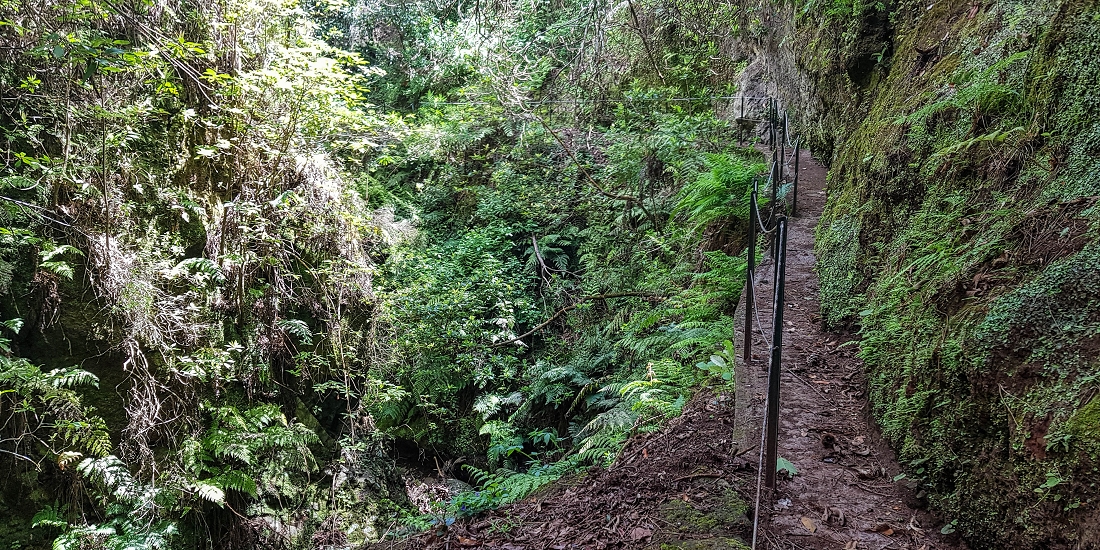 9 May 2019 Walk along the varied Levada Velha das Canhas — Crossing of the Ribeira do Covo Grande — photo 4
