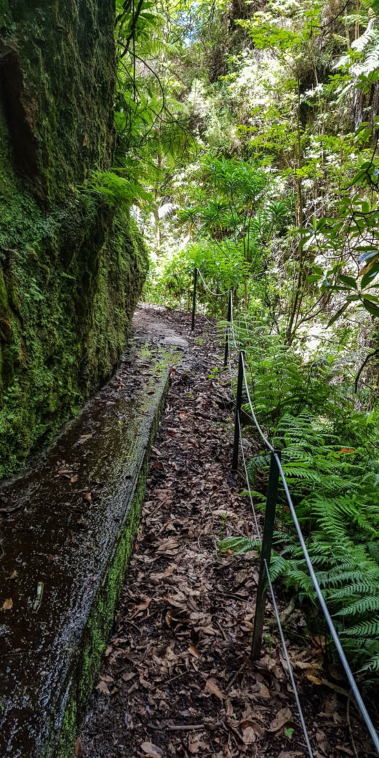9 May 2019 Walk along the varied Levada Velha das Canhas — Crossing of the Ribeira do Covo Grande — photo 5