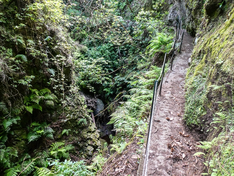 9 May 2019 Walk along the varied Levada Velha das Canhas — Crossing of the Ribeira do Covo Grande — photo 6