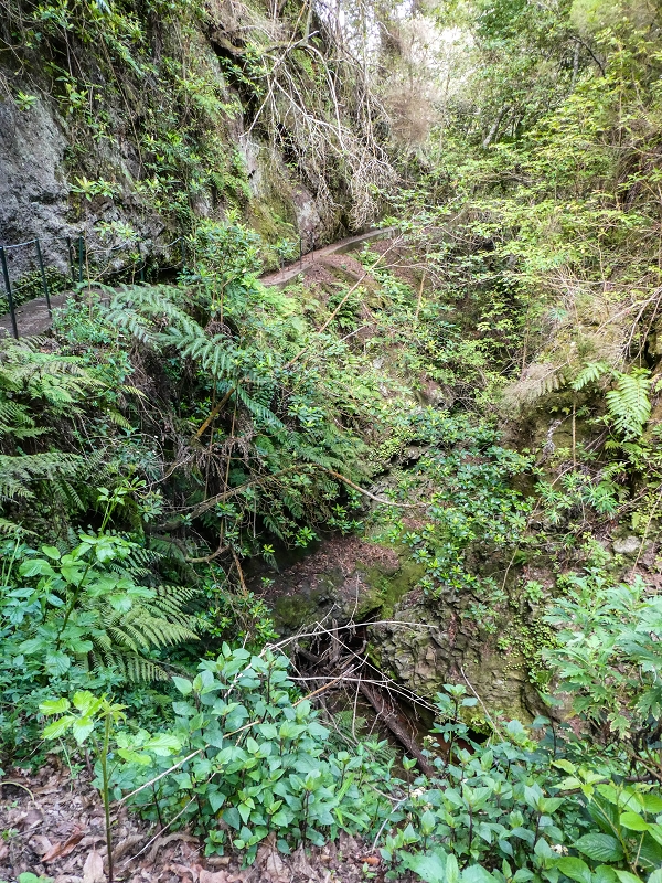 9 May 2019 Walk along the varied Levada Velha das Canhas — Crossing of the Ribeira do Covo Grande — photo 7