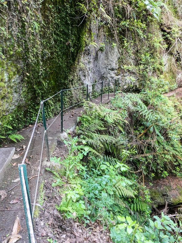 9 May 2019 Walk along the varied Levada Velha das Canhas — Crossing of the Ribeira do Covo Grande — photo 8