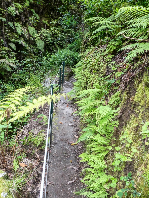 9 May 2019 Walk along the varied Levada Velha das Canhas — Crossing of the Ribeira do Covo Grande — photo 9
