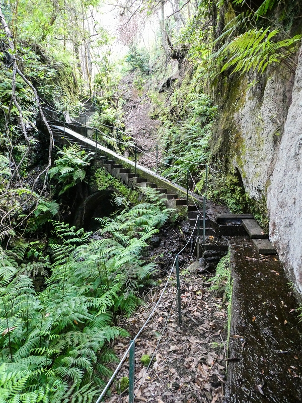 9 May 2019 Walk along the varied Levada Velha das Canhas — Crossing of the Ribeira do Covo Grande — photo 10