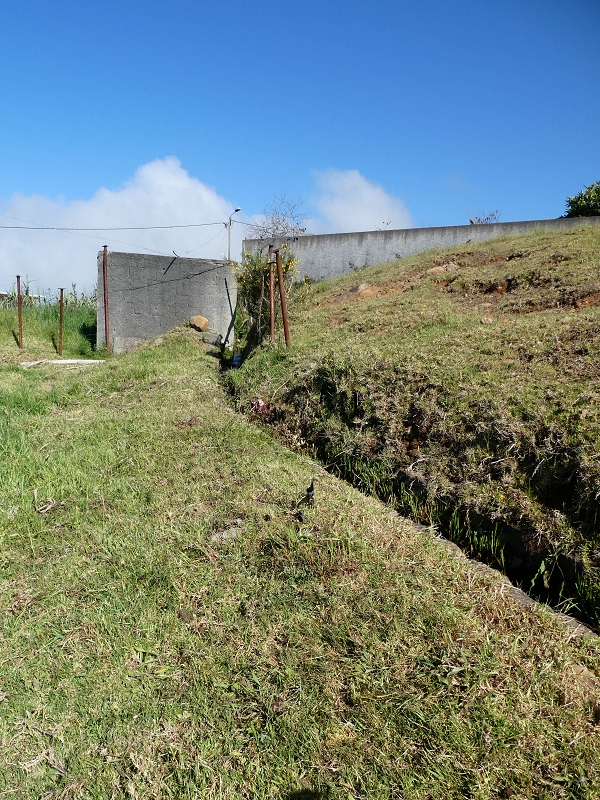 9 May 2019 Walk along the varied Levada Velha das Canhas — On the final stretch of the Levada Velha das Canhas and on the Nova to the road junction — photo 3