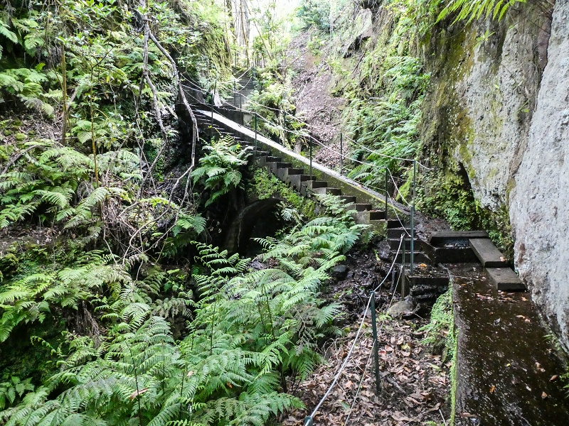 9 May 2019 Walk along the varied Levada Velha das Canhas — Crossing of the Ribeira do Covo Grande — photo 11