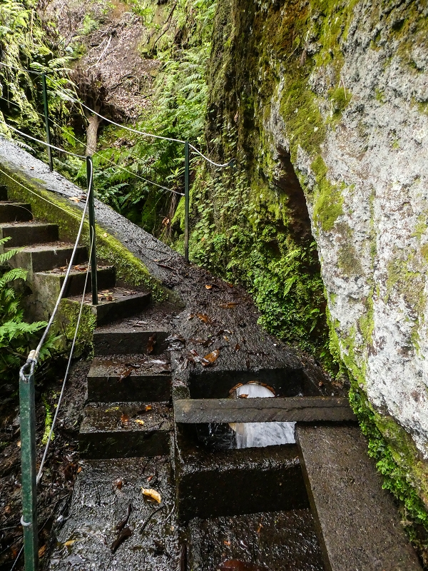 9 May 2019 Walk along the varied Levada Velha das Canhas — Crossing of the Ribeira do Covo Grande — photo 12