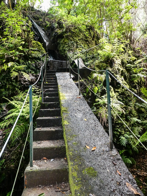 9 May 2019 Walk along the varied Levada Velha das Canhas — Crossing of the Ribeira do Covo Grande — photo 13