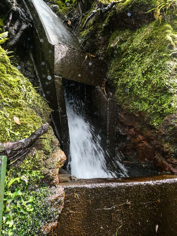 9 May 2019 Walk along the varied Levada Velha das Canhas — Crossing of the Ribeira do Covo Grande — photo 14