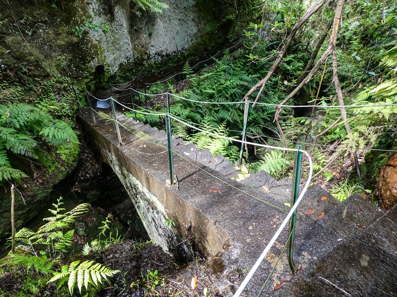 9 May 2019 Walk along the varied Levada Velha das Canhas — Crossing of the Ribeira do Covo Grande — photo 15