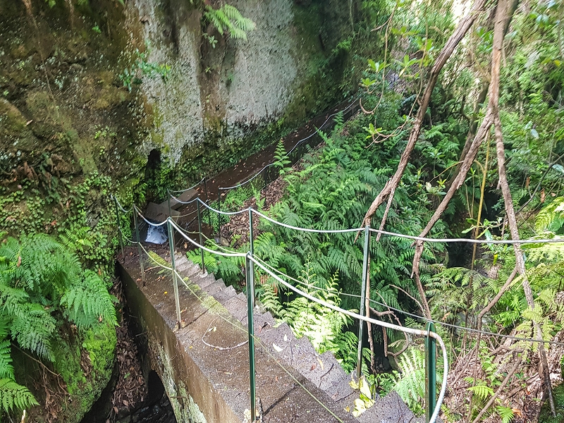 9 May 2019 Walk along the varied Levada Velha das Canhas — Crossing of the Ribeira do Covo Grande — photo 16