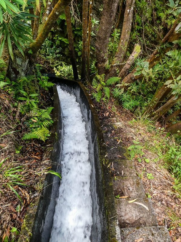 9 May 2019 Walk along the varied Levada Velha das Canhas — Crossing of the Ribeira do Covo Grande — photo 17