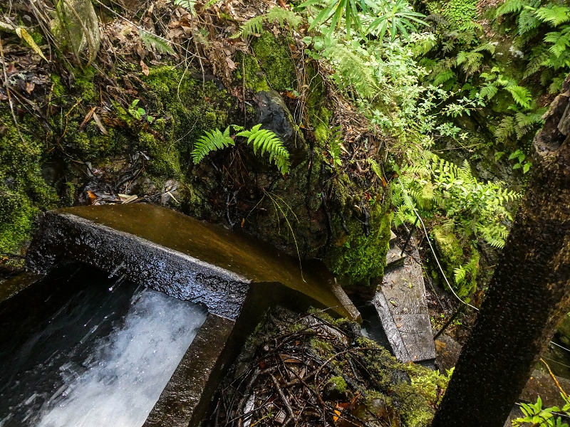 9 May 2019 Walk along the varied Levada Velha das Canhas — Crossing of the Ribeira do Covo Grande — photo 18
