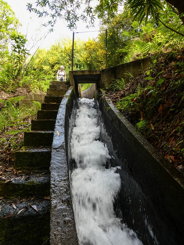 9 May 2019 Walk along the varied Levada Velha das Canhas — Crossing of the Ribeira do Covo Grande — photo 19