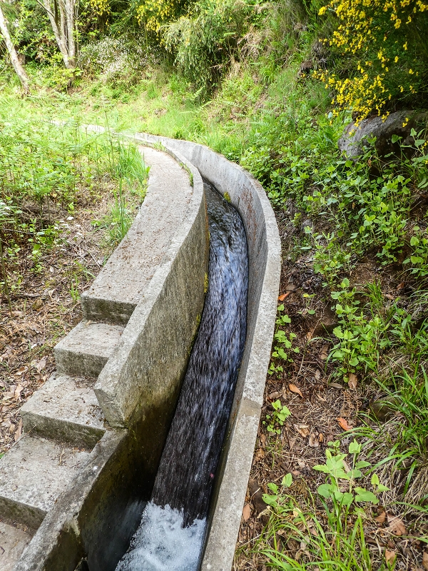 9 May 2019 Walk along the varied Levada Velha das Canhas — Across the farm to the second stream crossing — photo 1