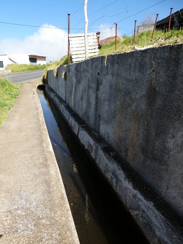 9 May 2019 Walk along the varied Levada Velha das Canhas — On the final stretch of the Levada Velha das Canhas and on the Nova to the road junction — photo 4