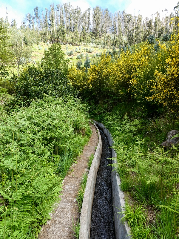 9 May 2019 Walk along the varied Levada Velha das Canhas — Across the farm to the second stream crossing — photo 2