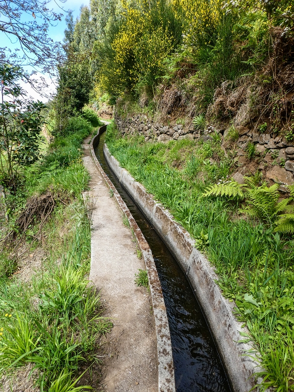 9 May 2019 Walk along the varied Levada Velha das Canhas — Across the farm to the second stream crossing — photo 3