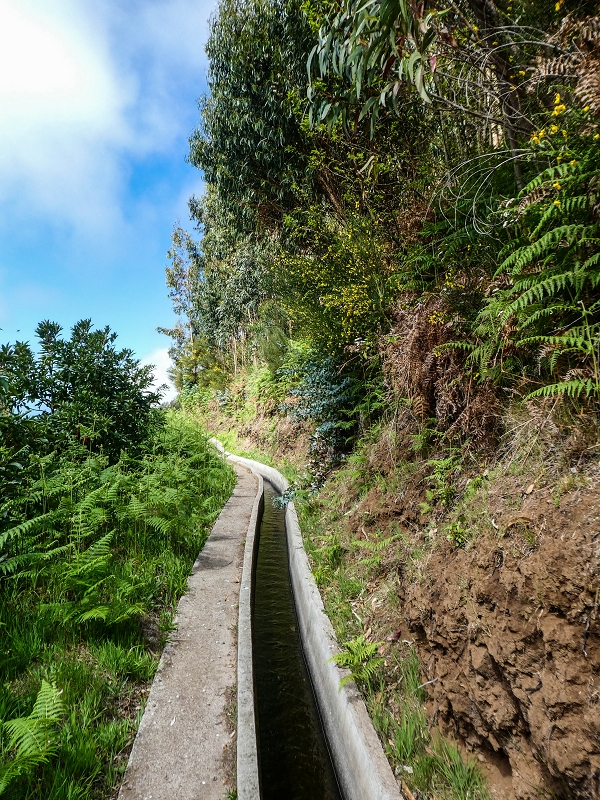 9 May 2019 Walk along the varied Levada Velha das Canhas — Across the farm to the second stream crossing — photo 4