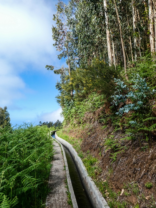 9 May 2019 Walk along the varied Levada Velha das Canhas — Across the farm to the second stream crossing — photo 5