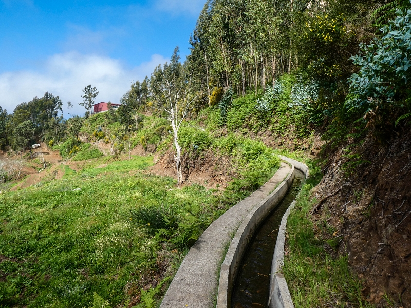 9 May 2019 Walk along the varied Levada Velha das Canhas — Across the farm to the second stream crossing — photo 7